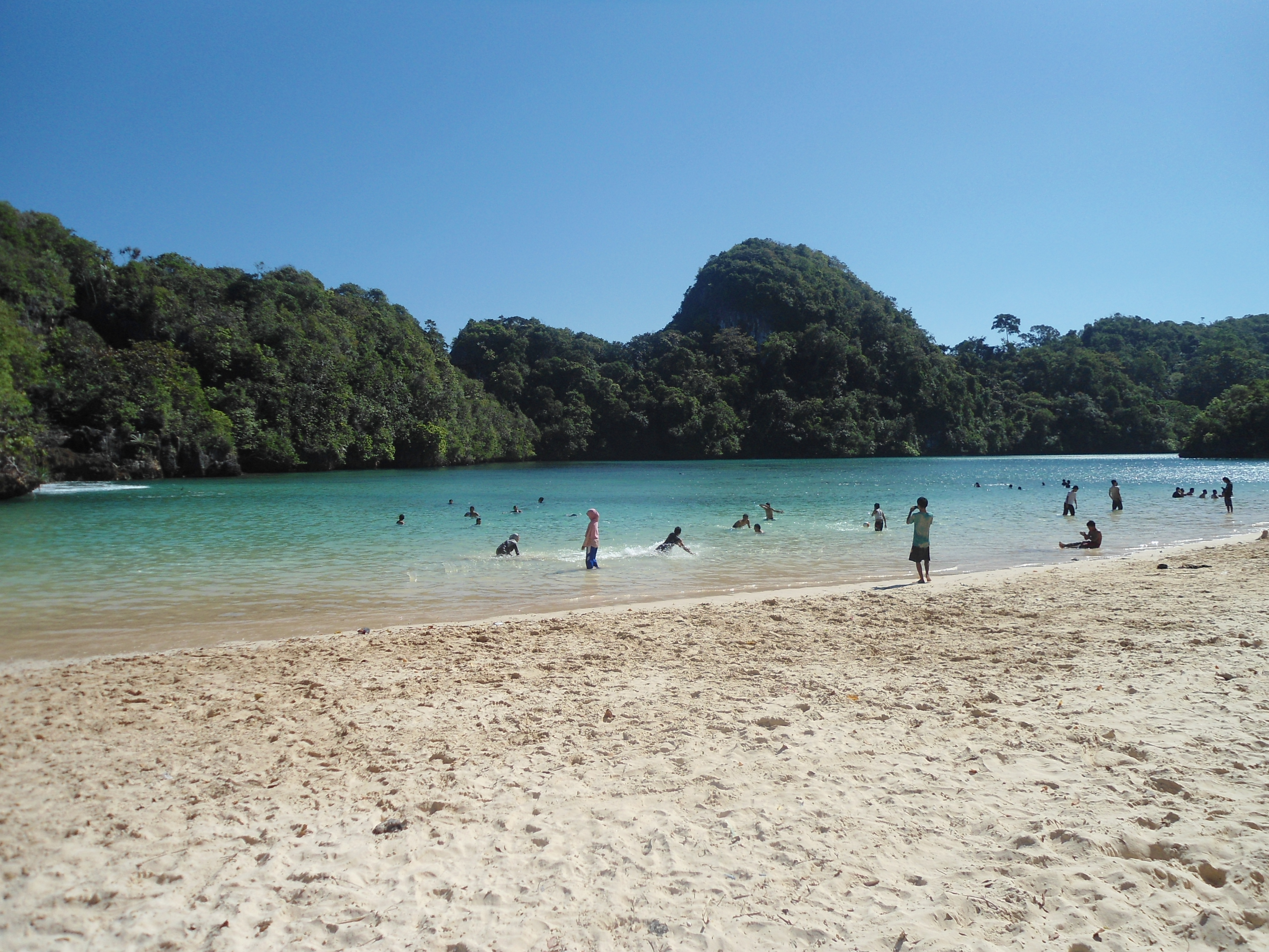 Download this Pulau Sempu picture